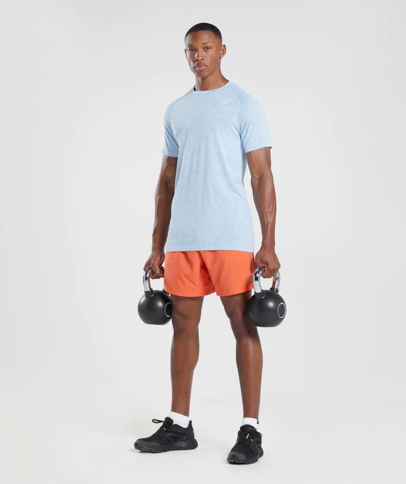 Men's Gymshark Geo Seamless T-Shirts Light Blue | NZ 4DUHKL